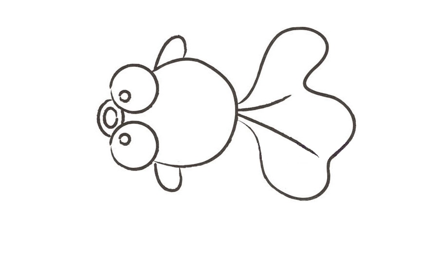 可爱的小金鱼简笔画