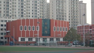 229.jpg