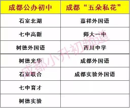 成都公立四七九和私立五朵私花有哪些差距升学率数据对比