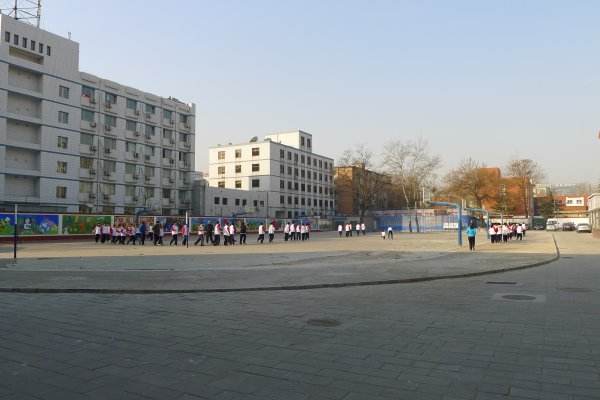timg (15).jpg